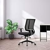 Featherlite ''Liberate'' Mesh Home & Office Ergonomic Chair with, Multi Lock Mechanism (Medium Back)