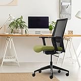 Wipro Furniture Adapt Fabric Ergonomic Office Chair (Olive Green)